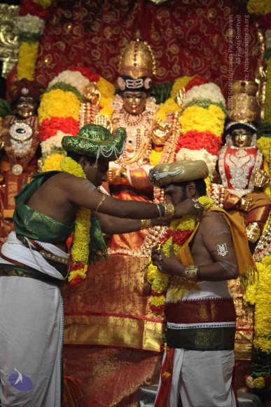 20160219_Photo_1068_IMG_4524_CMP_WM