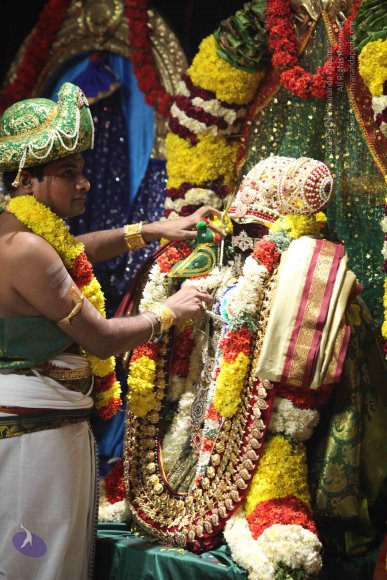 20160219_Photo_1074_IMG_4549_CMP_WM