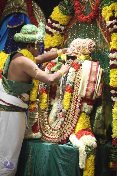 20160219_Photo_1081_IMG_4599_CMP_WM