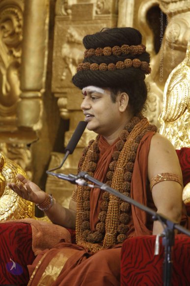 20160114_Photo_1050__F0A4702_CMP_WM