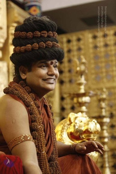 20160114_Photo_1000__F0A4961_CMP_WM