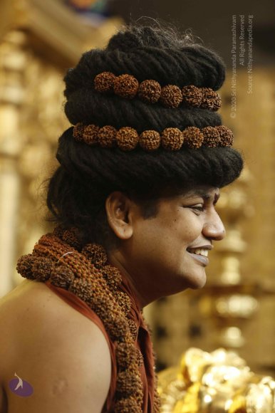 20160114_Photo_1002__F0A4965_CMP_WM