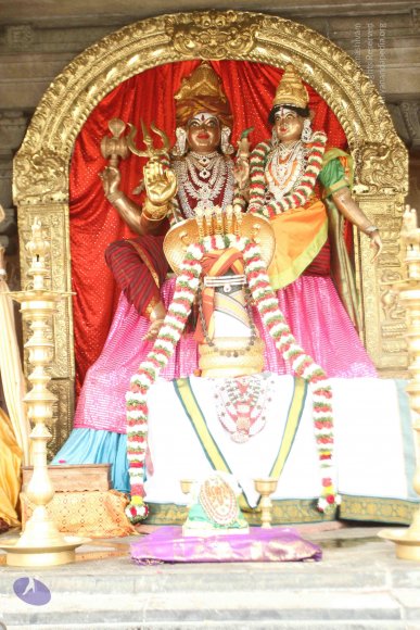 01-TEMPLE_Photo_1000_IMG_3084_CMP_WM