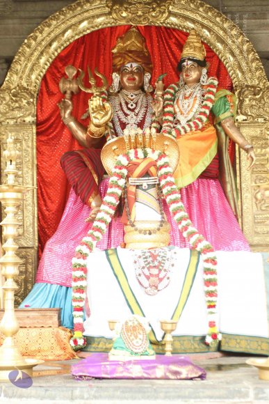 01-TEMPLE_Photo_1002_IMG_3086_CMP_WM