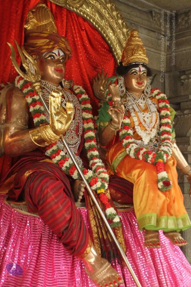 01-TEMPLE_Photo_1006_IMG_3097_CMP_WM