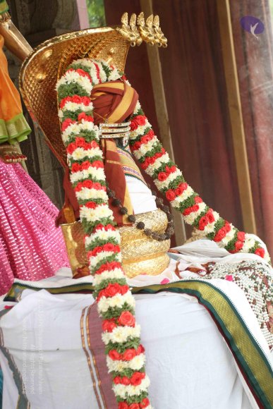 01-TEMPLE_Photo_1012_IMG_3105_CMP_WM