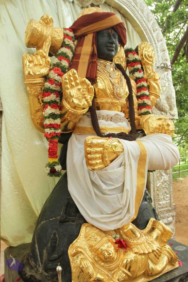 01-TEMPLE_Photo_1019_IMG_3115_CMP_WM