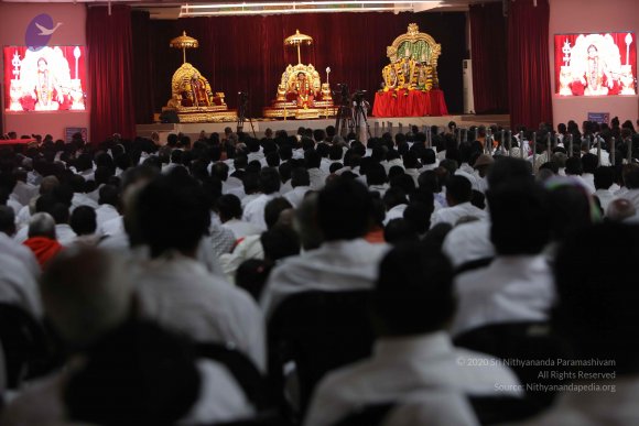 20160101_Photo_1026_5F0A8599_CMP_WM