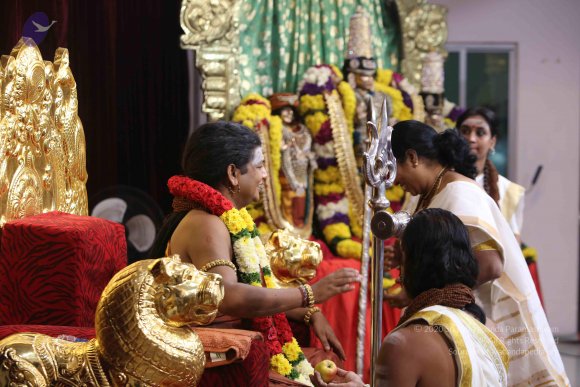 20160101_Photo_1031_5F0A8626_CMP_WM