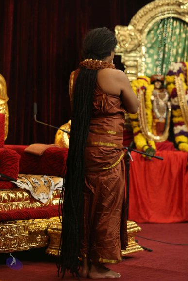 20160101_Photo_1010_5F0A8761_CMP_WM