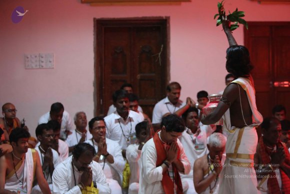 20160101_Photo_1018_5F0A8987_CMP_WM