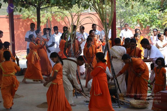 1-Pongal-Celebration_Photo_1032_5F0A5394_CMP_WM
