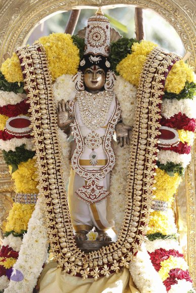 1-Pongal-Celebration_Photo_1168__F0A5123_CMP_WM