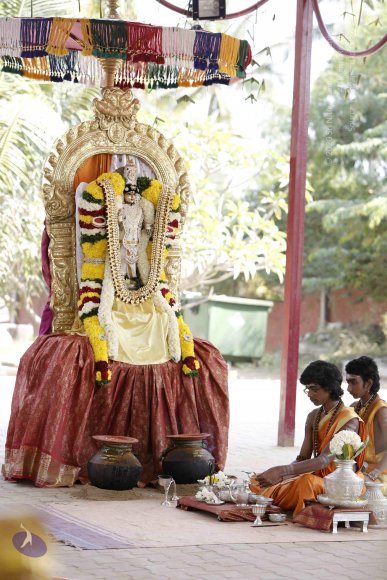 1-Pongal-Celebration_Photo_1286__F0A5465_CMP_WM