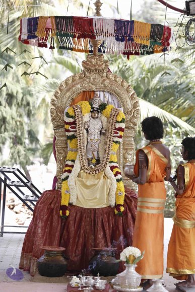 1-Pongal-Celebration_Photo_1292__F0A5497_CMP_WM