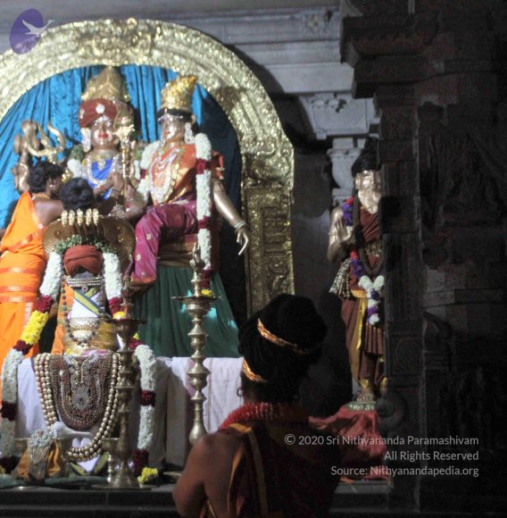 IMG_8311_CMP_WM Done