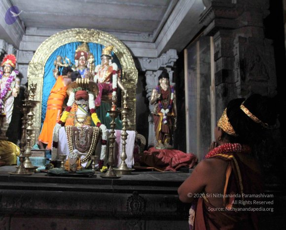 IMG_8312_CMP_WM Done