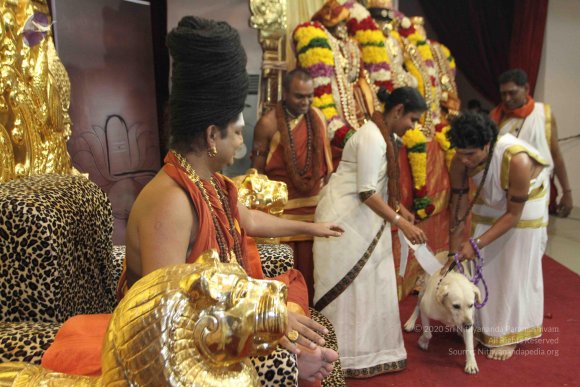 2-Initiation_Photo_1007_IMG_9392_CMP_WM