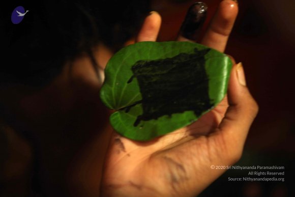 01-NKY_Photo_1071_IMG_3806_CMP_WM