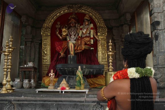 20160607_Photo_1022_IMG_1327_CMP_WM