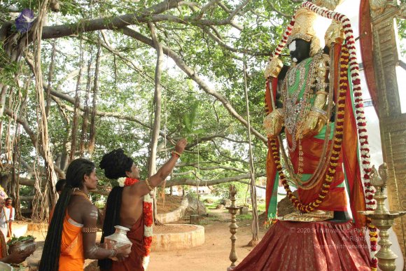 20160607_Photo_1028_IMG_1427_CMP_WM