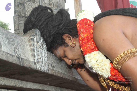 20160607_Photo_1051_IMG_1451_CMP_WM