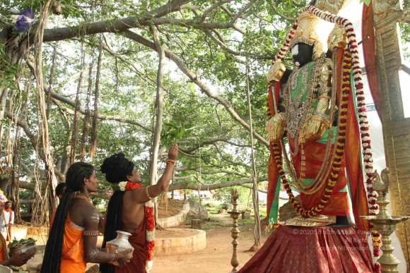 20160607_Photo_1060_IMG_1428_CMP_WM