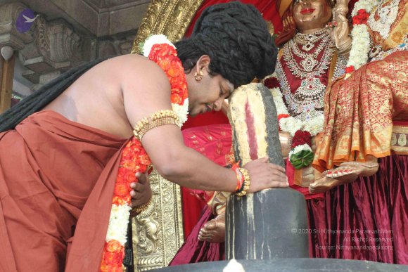 20160607_Photo_1069_IMG_1334_CMP_WM