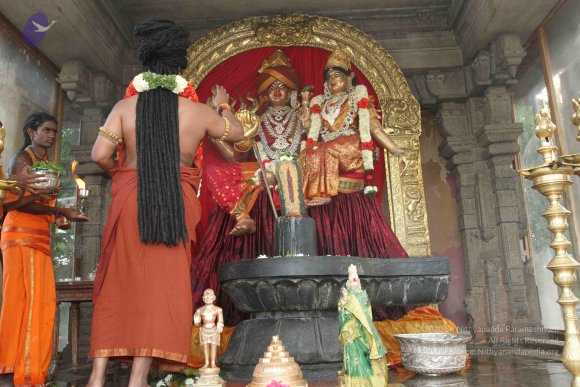 20160607_Photo_1079_IMG_1370_CMP_WM