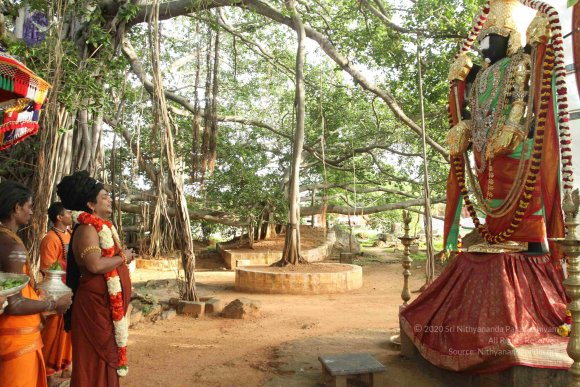 20160607_Photo_1081_IMG_1425_CMP_WM