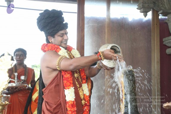 20160607_Photo_1087_IMG_1342_CMP_WM