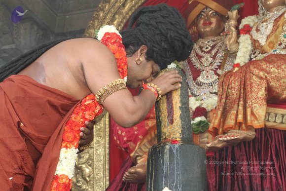 20160607_Photo_1090_IMG_1375_CMP_WM