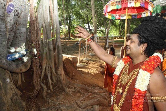 20160607_Photo_1146_IMG_1419_CMP_WM