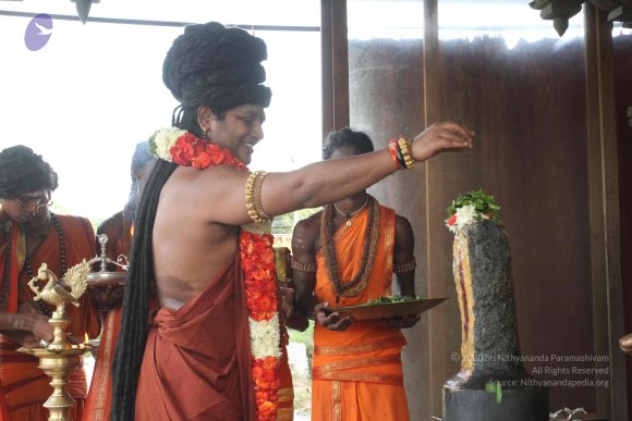 20160607_Photo_1151_IMG_1355_CMP_WM