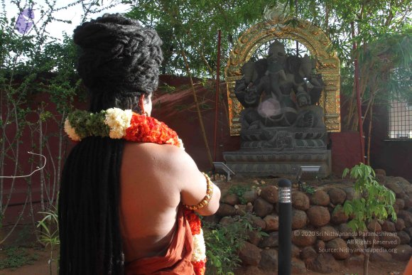 20160607_Photo_1172_IMG_1250_CMP_WM