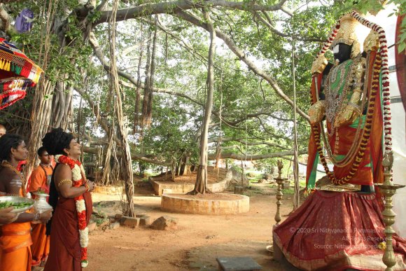 20160607_Photo_1175_IMG_1426_CMP_WM