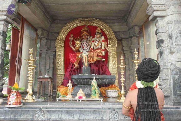 20160607_Photo_1203_IMG_1452_CMP_WM