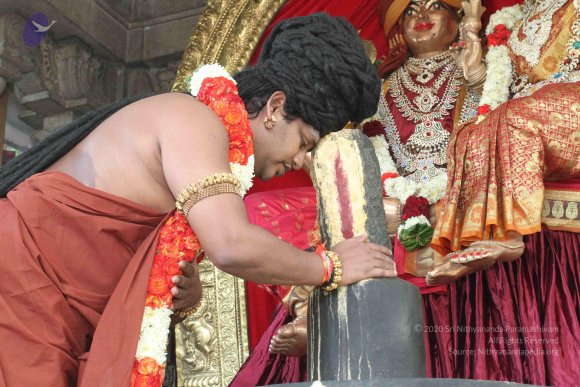 20160607_Photo_1209_IMG_1335_CMP_WM