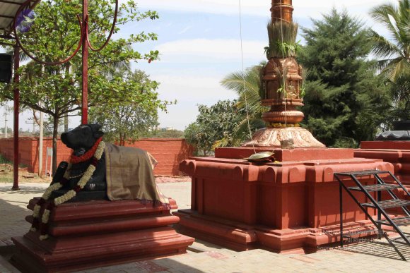 20160301_Photo_1000_IMG_7621_CMP_WM