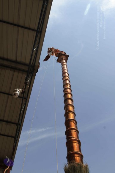 20160301_Photo_1001_IMG_7622_CMP_WM