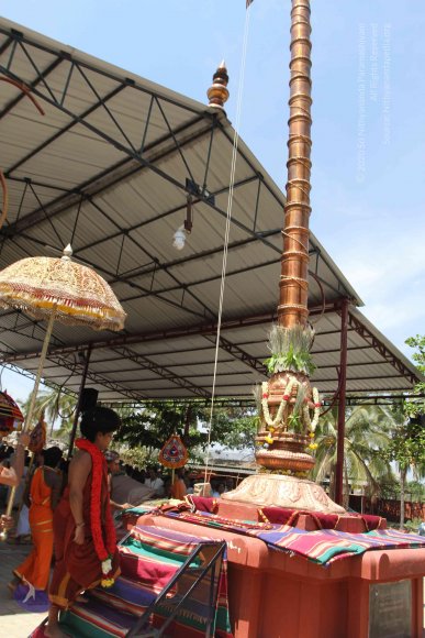 20160301_Photo_1008_IMG_7632_CMP_WM