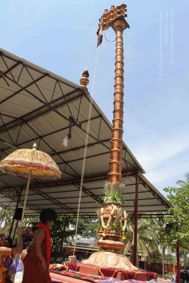 20160301_Photo_1009_IMG_7633_CMP_WM