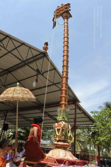 20160301_Photo_1010_IMG_7634_CMP_WM