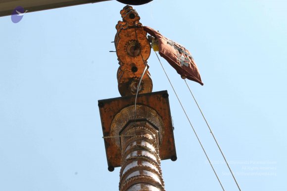 20160301_Photo_1015_IMG_7643_CMP_WM