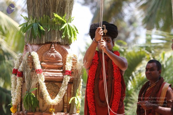 20160301_Photo_1016_IMG_7645_CMP_WM