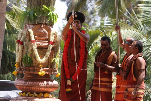 20160301_Photo_1018_IMG_7647_CMP_WM