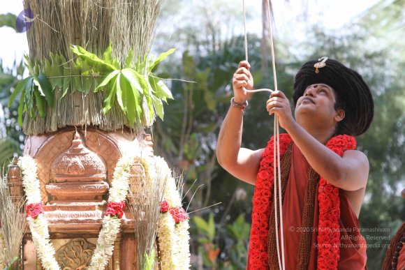 20160301_Photo_1020_IMG_7650_CMP_WM