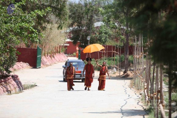 20160301_Photo_1029_IMG_8275_CMP_WM