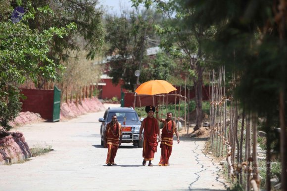 20160301_Photo_1030_IMG_8276_CMP_WM