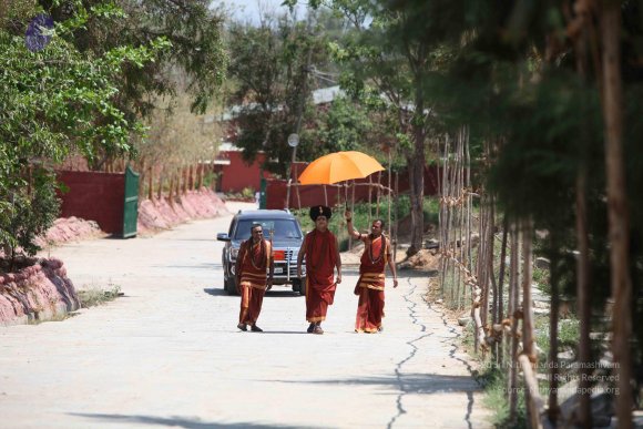 20160301_Photo_1031_IMG_8277_CMP_WM